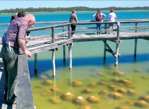 Waroona activities